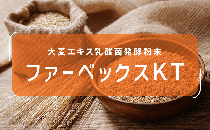 ファーベックスKT